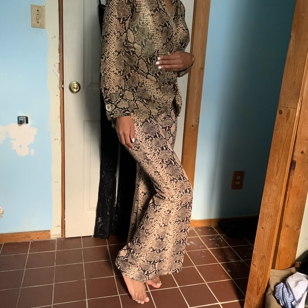 ZARA Snakeskin Blouse & Pant Set
